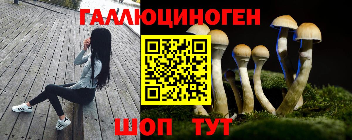 наркота  Галлюциногенные грибы Magic Shrooms  Псилоцибиновые грибы Psilocybine cubensis  Вход с VPN  Пугачёв 